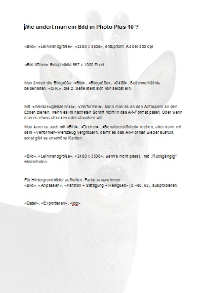 Wie ändert man ein Bild